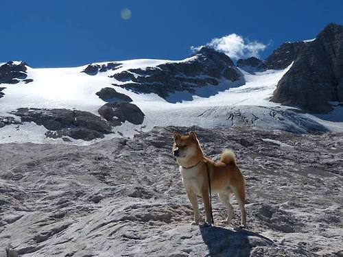 “埃尔斯·霍斯特为南非队创造无懈可击的防守”