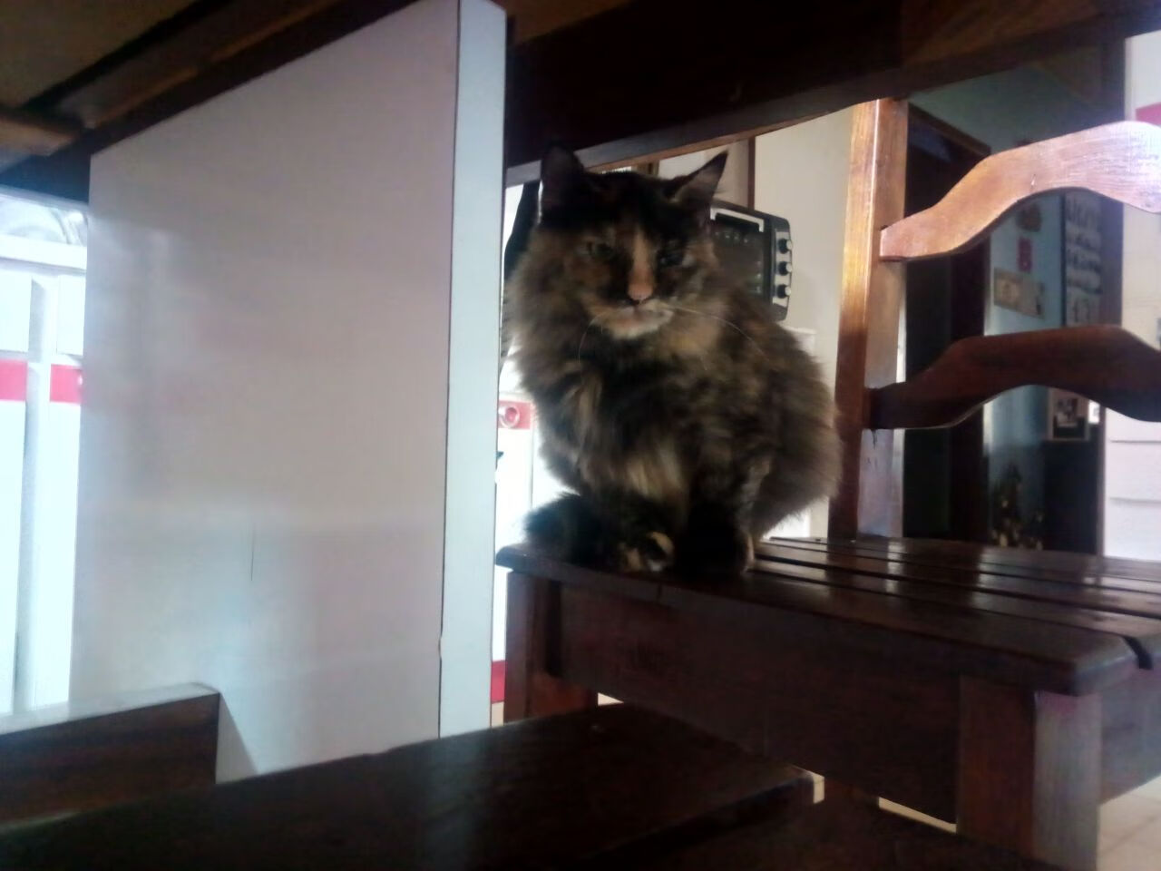 博塔弗戈核心球员受伤影响全队部署，博塔弗戈队服